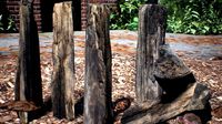 Firewood