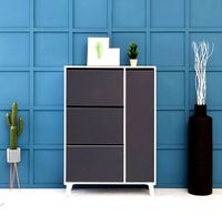 Clamshell apartment entrance shoe cabinet 900