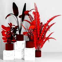 Decorative set48