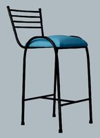 Padded High Chair