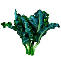 Kale