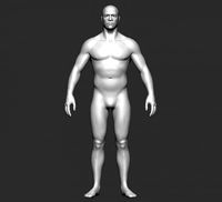 BASE MESH BODY MALE