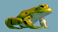 FROG
