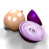 Onion
