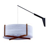 Swing arm light