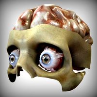 Eye and Brain