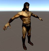 Barbarian Hero