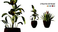 Topical Snow and Aloe vera plant pot