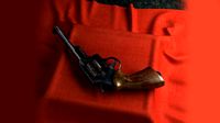 Revolver bullet cartridges cylinder handgun