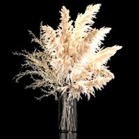 Bouquet Of Pampas Grass In A Vase Dried Flowers