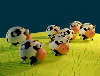 Cows in the meadow