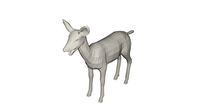 Deer Wild animal