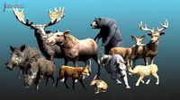 Animal Pack Unreal Engine ready to use