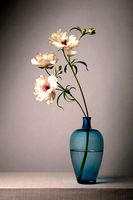 White flower 2