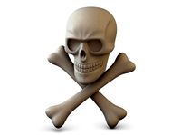 Pirate Skull Bones M 1