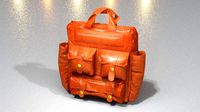 Leather Bag