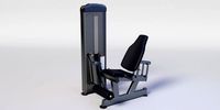 LEG EXTENSION Gym Equipment