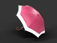 Generic Umbrella