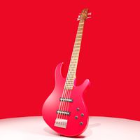 Bas Guitar
