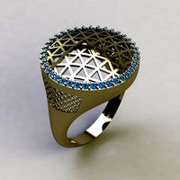 circular ring | 3D