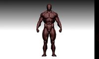 Bodybuilder base mesh 2