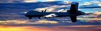 Mq-9 reaper predator