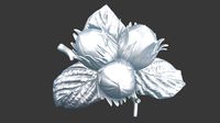 Brooch Nuts