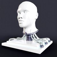 Cyborg Head Bust V1