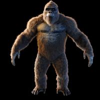 Kong 2021
