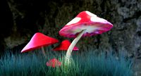 Cartoon Fairytale Mushrooms