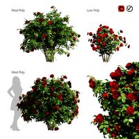 3 Red Rose Flower Bush Low Poly