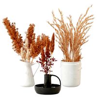 Pampas