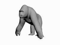 Gorilla