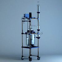 Chemical Glass Reactor