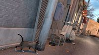 Alley