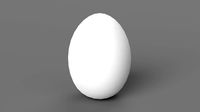 White Chicken Egg