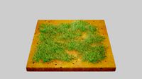 Grass