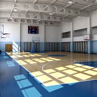 3D Basketball Arena 2