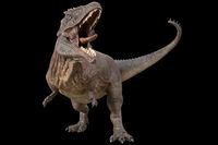 Hybrid Giganotosaurus