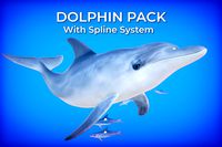 Dolphin with Spline System
