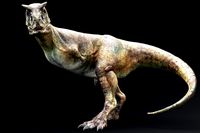 Dinosaur Carnotaurus Real dinosaurs Series