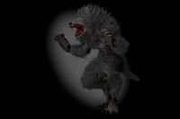 Werewolf Creature