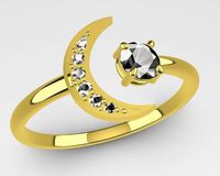 Moon Ring | 3D