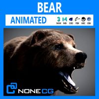 Animated Bear