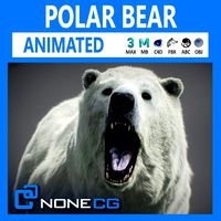 Animated Polar Bear