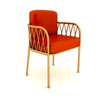 3D modern metal chair