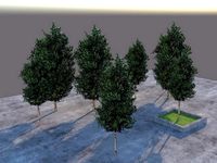 Low Poly Tree