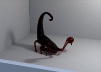 Scorpion