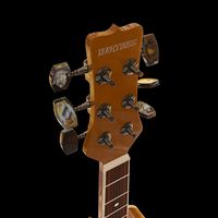 Guitar Martinez