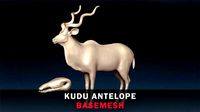 Kudu Antelope Base Mesh